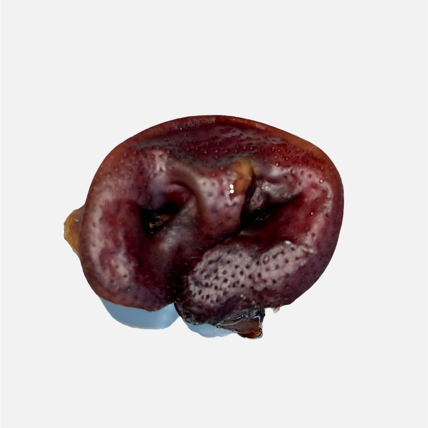 Dehydrated Pig Snout