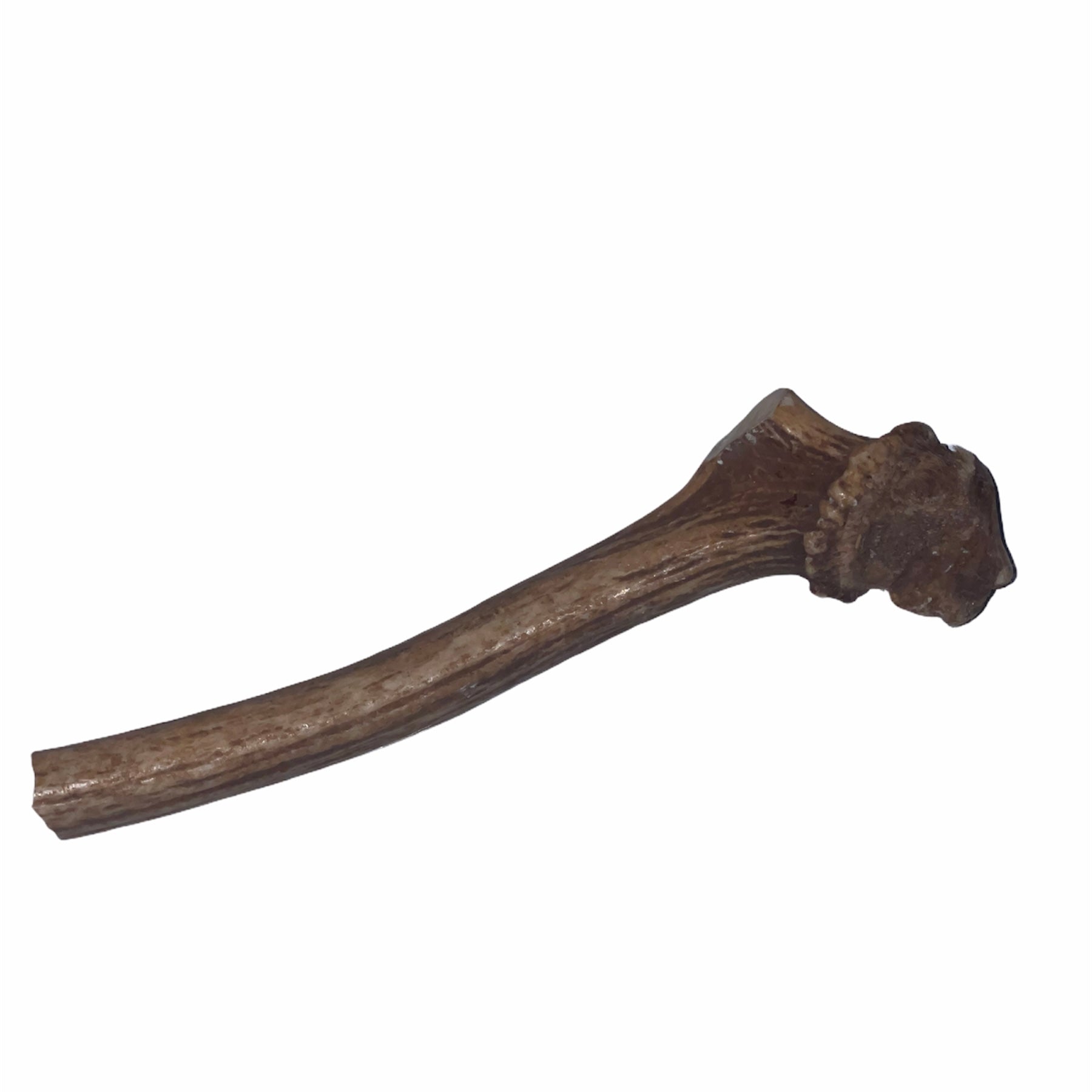 Dog Chew Venison Antler