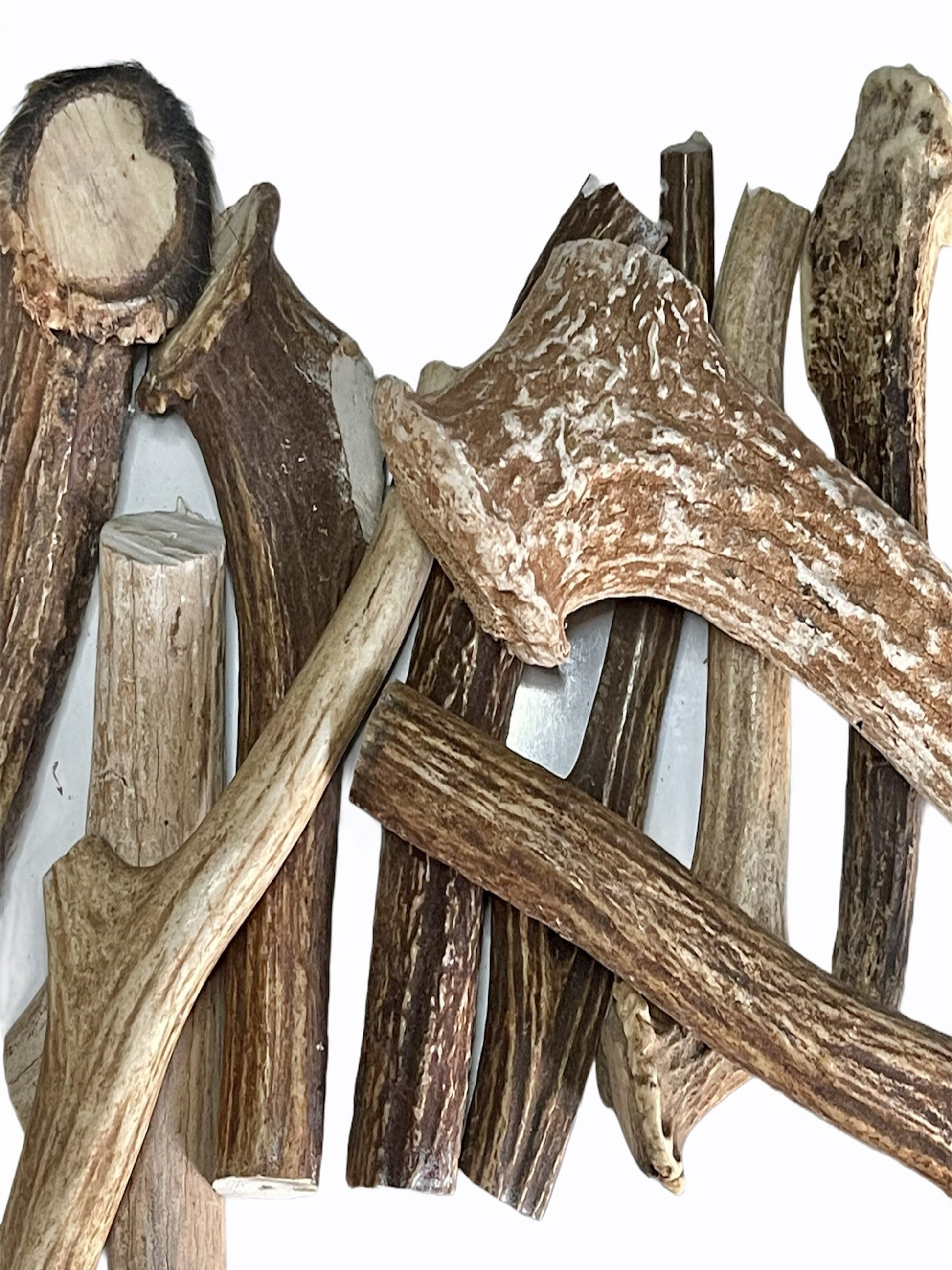 Dog Chew Venison Deer Antler