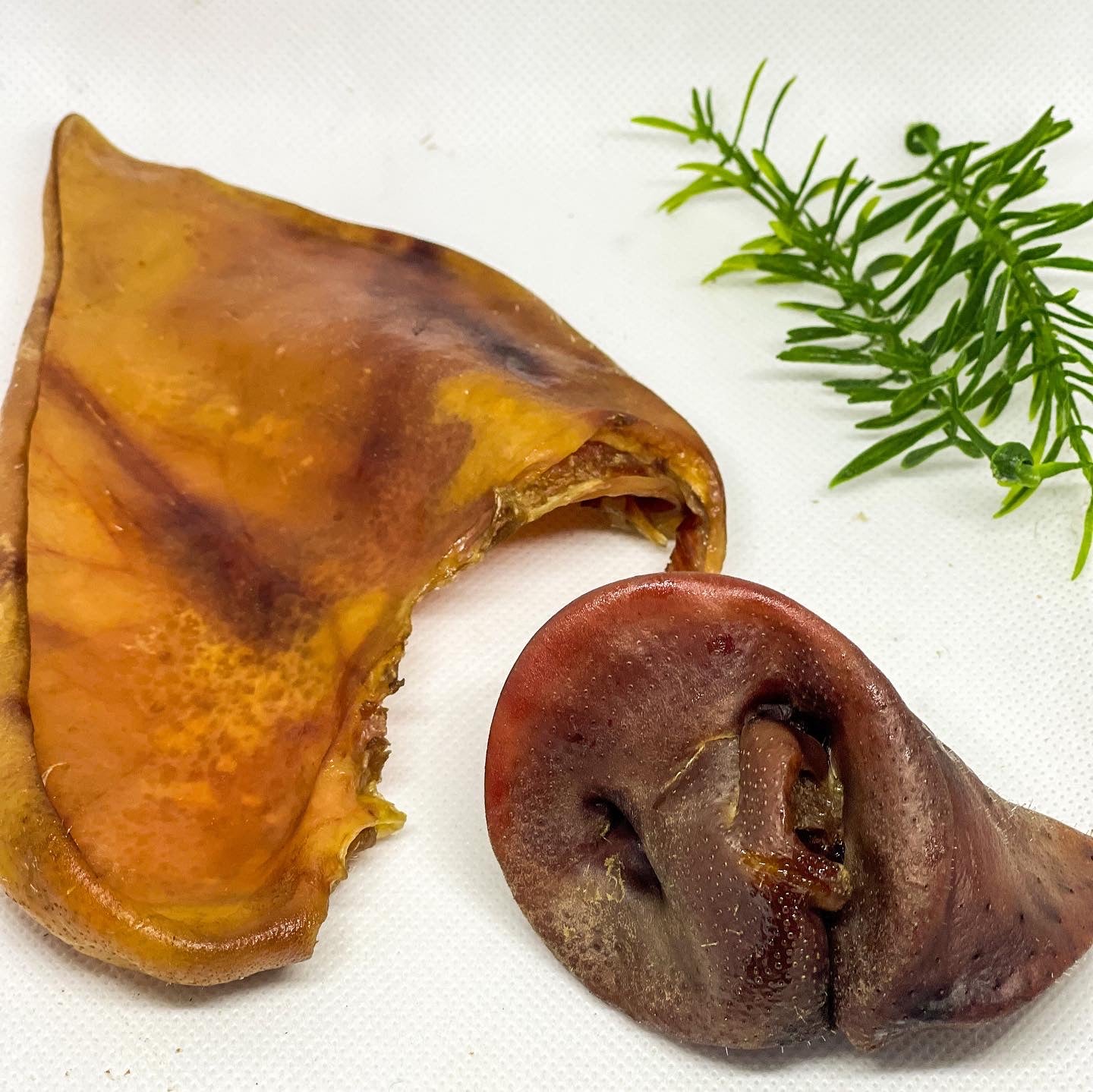 Pig Ear