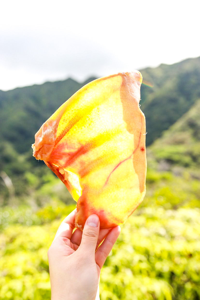 Pig Ear